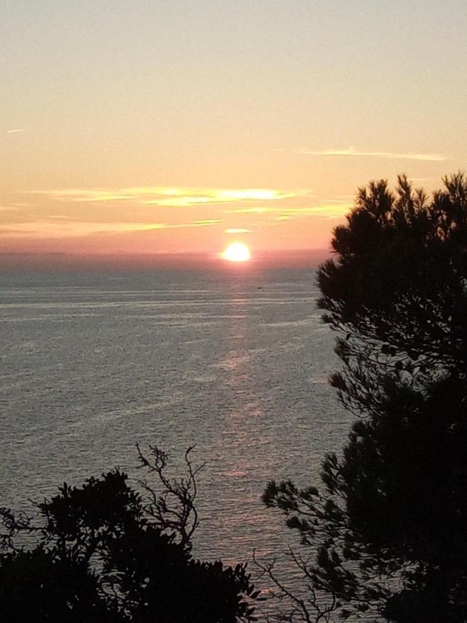 Tamaris Bay Daire La Seyne-sur-Mer Dış mekan fotoğraf